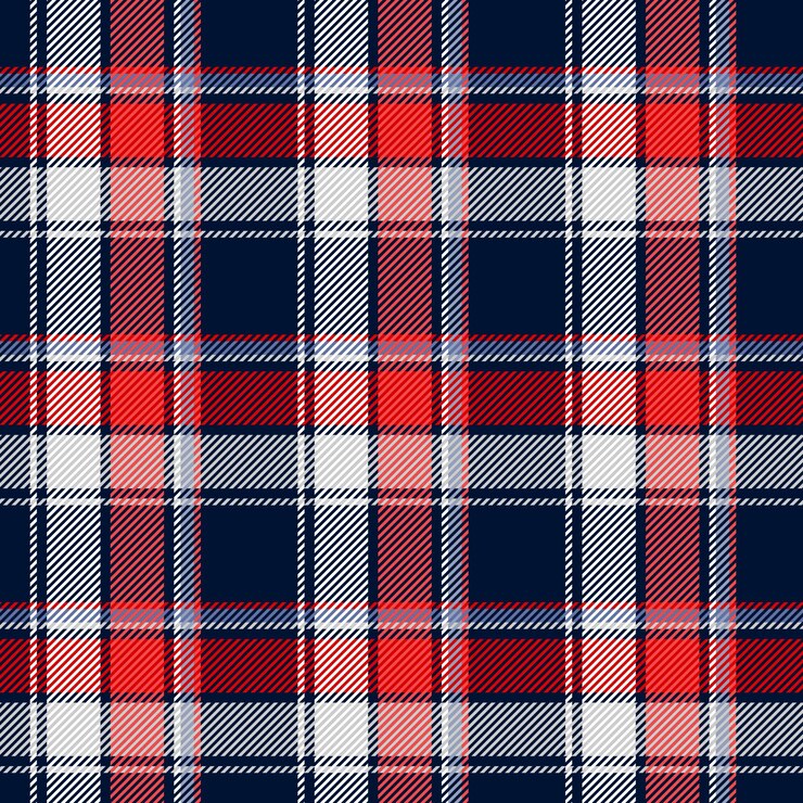 Vettore motivo tartan senza cuciture 021