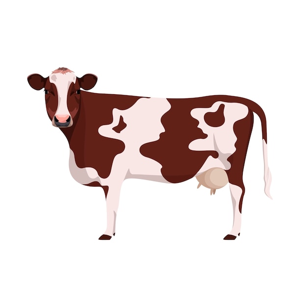 Mucca su sfondo bianco Cartoon design