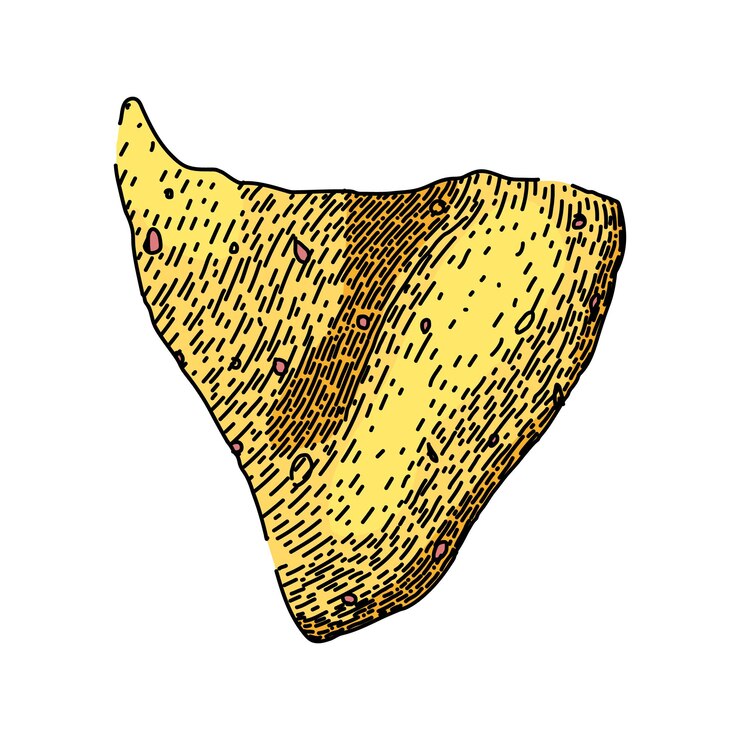 Vettore nachos di mais nachos gialli disegnati a mano tortilla party peperoncino piccante nachos di mais schizzo vettoriale illustrazione a colori isolata