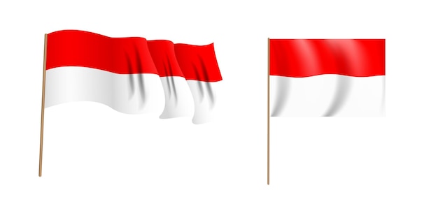 Naturalistico colorato sventolando bandiera della Repubblica di Indonesia.