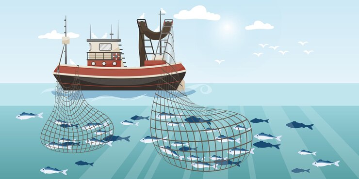 Vettore nave da pesca commerciale con due reti da pesca piene barca da pesca dei cartoni animati che lavora in mare o oceano catturando con la sciabica tonno pesce aringa sardina salmone nave industriale in vista sul mare illustrazione vettoriale