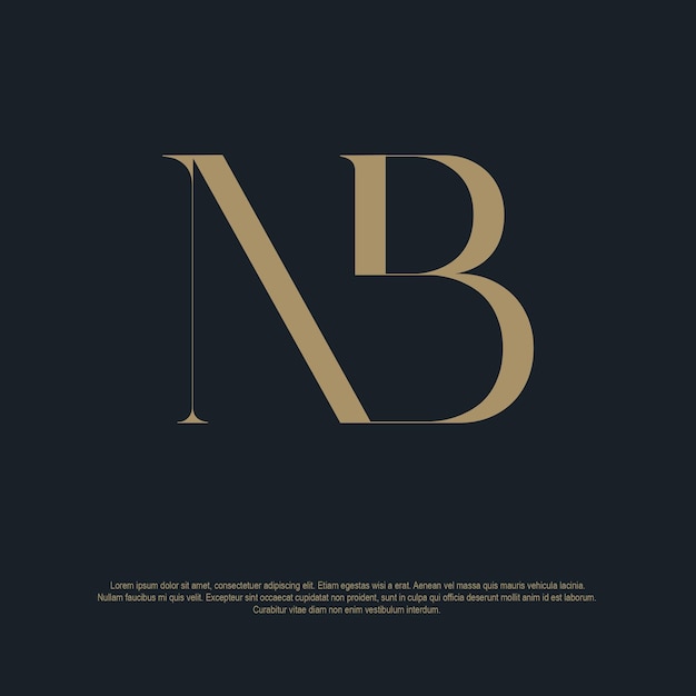 NB logo elegante