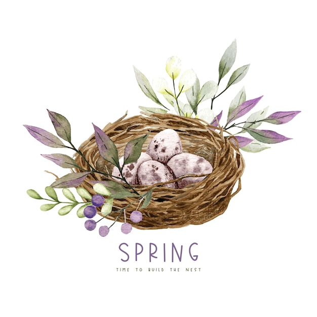 Nido di Berd con uova, fiori e vegetazione, decorazioni pasquali, illustrazione dell'acquerello di primavera