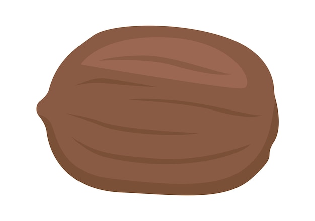 Noce pecan Cibo sano illustrazione vettoriale