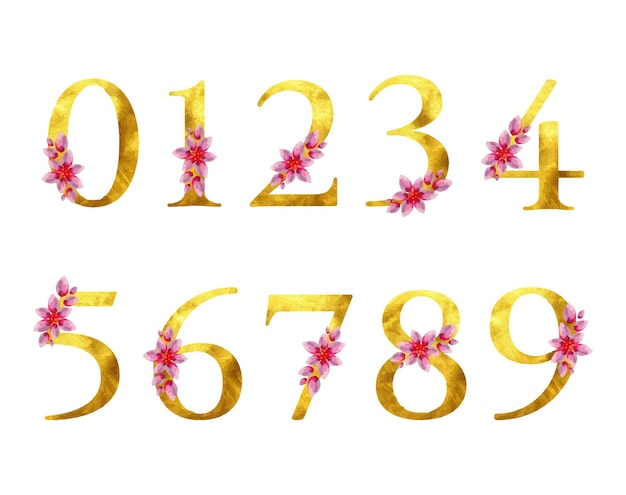 Numero d'oro impostato isolato strutturato design elemento decorazione grafica floreale biglietto di auguri modello matrimonio invito festa di compleanno fiore rosa segno dorato lusso font tipo acquerello botanica pittura