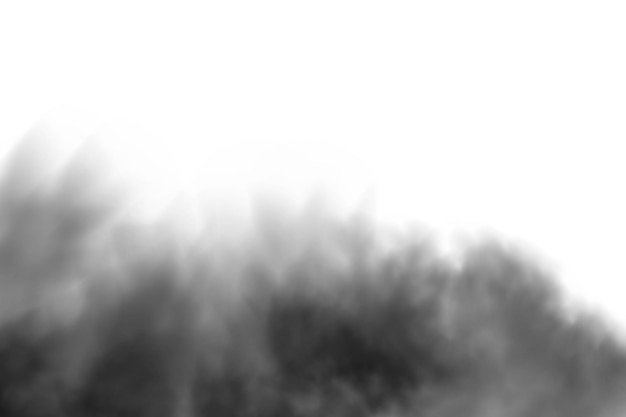 Nuvola di fumo nera