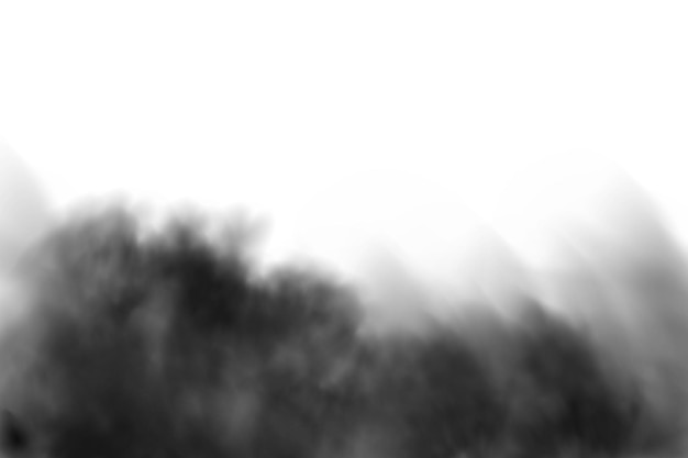 Nuvola di fumo nera