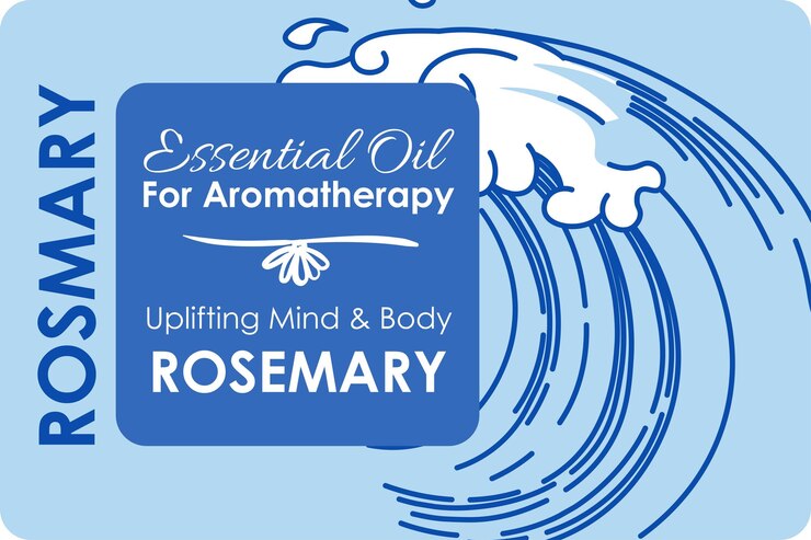 Vettore olio essenziale di rosmarino per vettore di aromaterapia