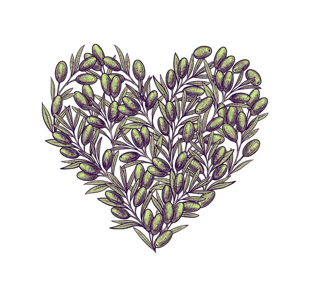 Olive a forma di cuore Illustrazione di oliva disegnata a mano Cibo vegetariano Per etichetta e poster