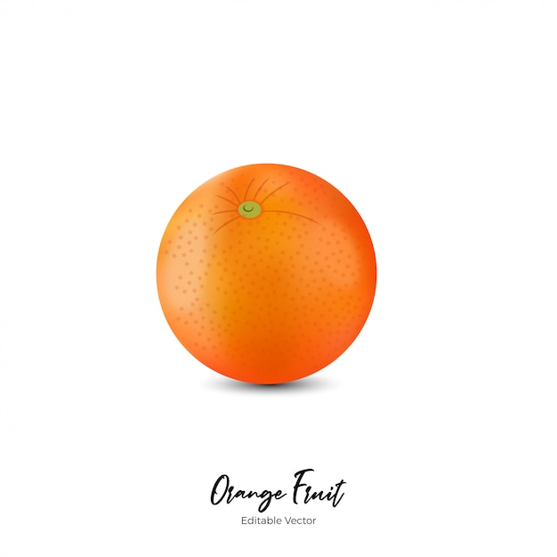 Orange Fruit Realistic