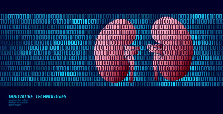 Vettore organi interni di urologia dei reni sani. flusso di dati di codice binario.