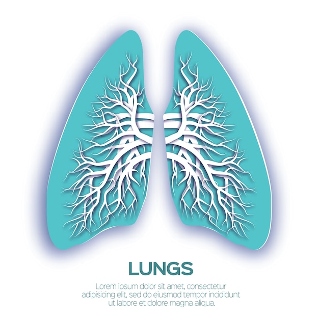 Origami di polmoni. Carta blu tagliata anatomia umana dei polmoni con albero bronchiale