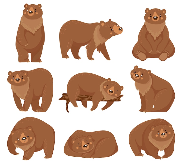 Vettore orso bruno dei cartoni animati orsi grizzly, animali predatori della foresta selvaggia della natura ed illustrazione dell'orso di seduta