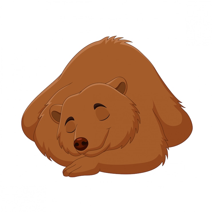 Vettore orso bruno divertente del fumetto che dorme