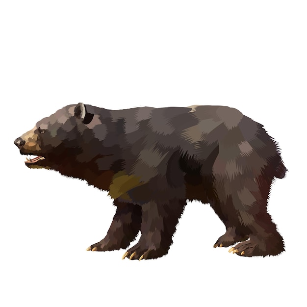 orso nero di formosa Fondo bianco di vettore