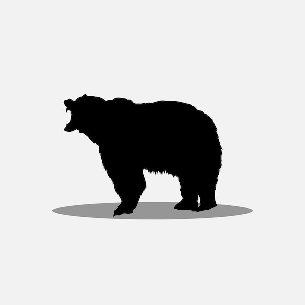 Orso vettoriale png