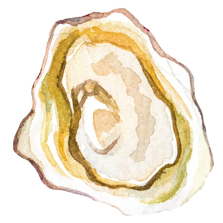 Ostriche dipinte ad acquerello Elemento di design di frutti di mare freschi disegnati a mano isolati su sfondo bianco