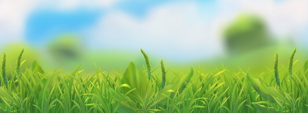 Paesaggio primaverile. Illustrazione di erba verde