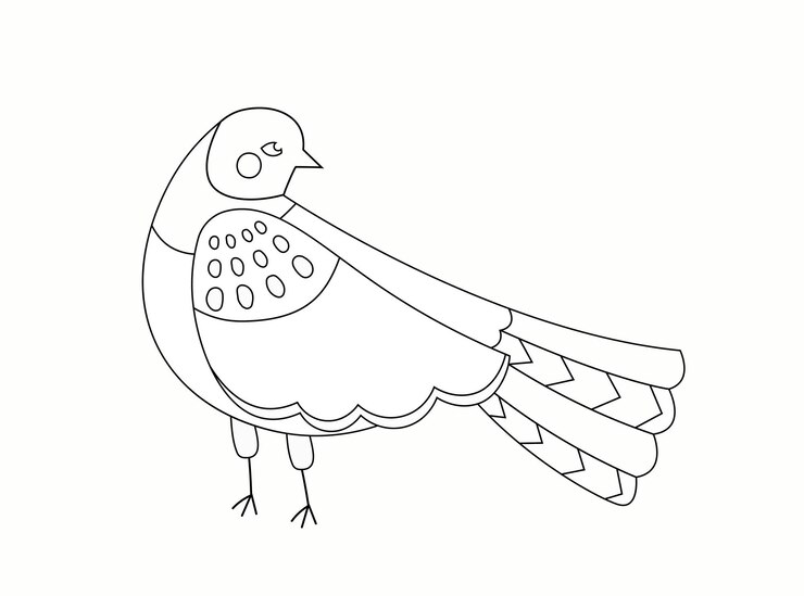 Vettore pagina da colorare con l'uccello