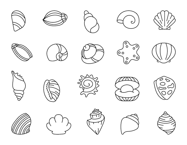 Pagina da colorare delle conchiglie marine