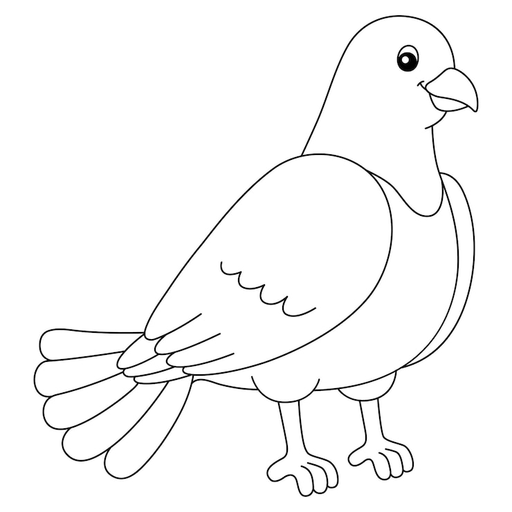 Vettore pagina da colorare di piccione isolata per i bambini