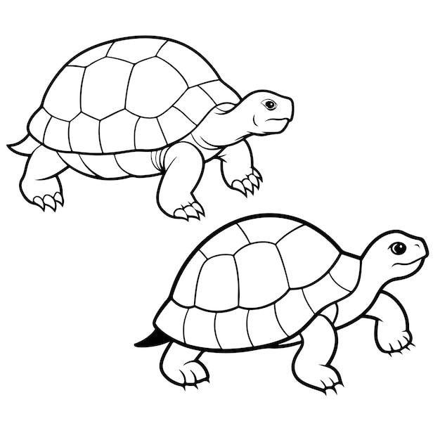 Pagina da colorare disegnata a mano di Wood Turtle e disegno vettoriale del contorno