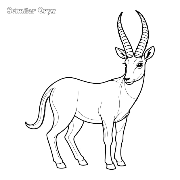 Pagina da colorare e disegno vettoriale a contorno disegnato a mano da Scimitar horned Oryx