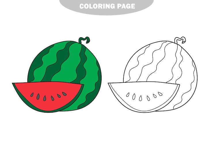 Vettore pagina da colorare semplice. anguria in bianco e nero isolata per libro da colorare