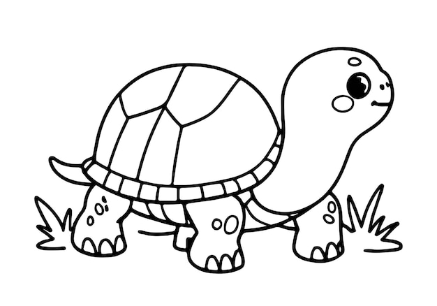 Pagine da colorare per i cuccioli di tartaruga