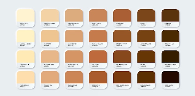 Palette di gradienti di colore marrone e beige Tone dei prodotti cosmetici per capelli della pelle umana Esemplari di campioni di colore