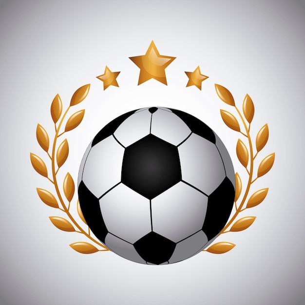 Pallone da calcio