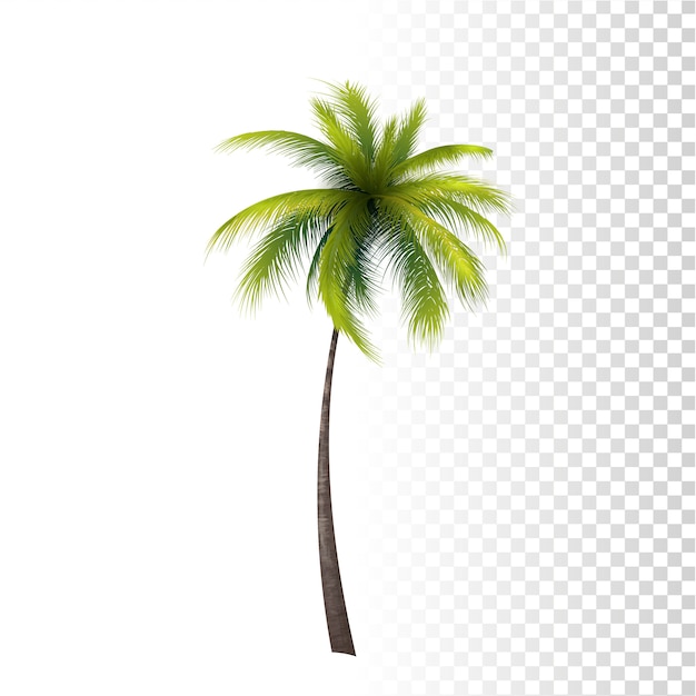 Palm classico verde