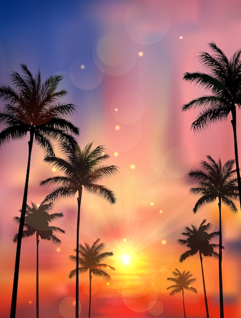 Palme al tramonto