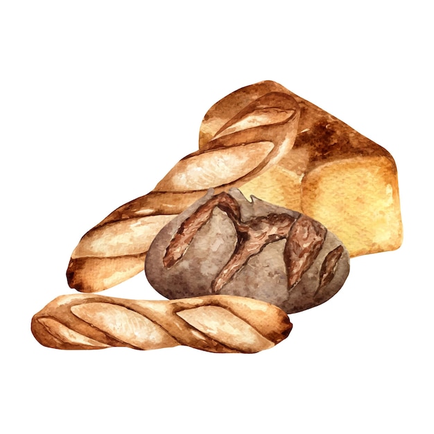 Pane di segale in acquerello intero illustrazione isolata su sfondo bianco Composizioni disegnate a mano di pane bianco per panetteria Pittura baguette vista laterale Elemento per la progettazione di imballaggi di segnaletica di panetteria