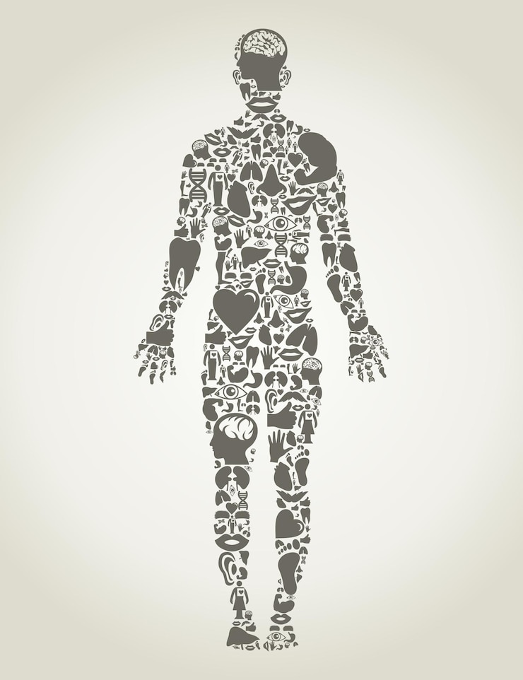 Vettore parti del corpo della persona
