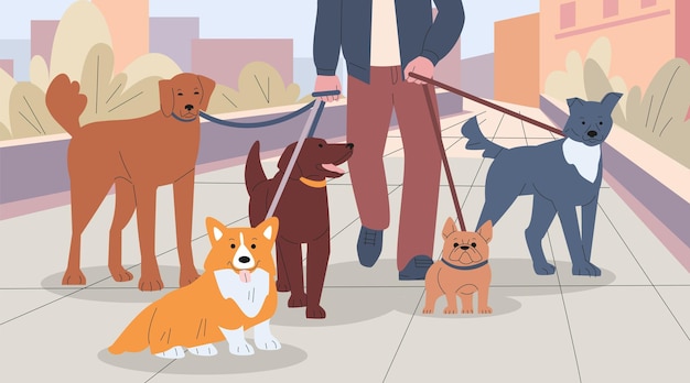 Passeggiatore di cani e babysitter Persona che passeggia cani in città urbana passeggiata con animali domestici gruppo amicizia di lavoro o d'affari Animali in città scena vettoriale kicky