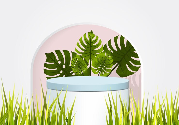 Vettore pedane con foglia di monstera deliciosa e illustrazione vettoriale di erba sfondo 3d per display presentazione mockup piedistallo o montaggio prodotto scena minima astratta
