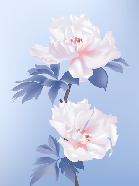 Peonia bianca dipinta a mano di vettore