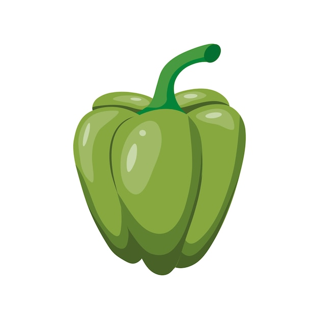 Peperoncino verde isolato su sfondo bianco Illustrazione vettoriale