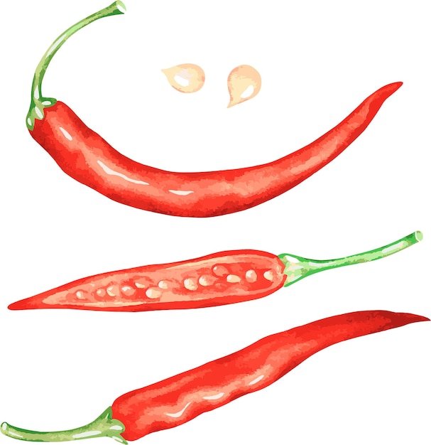 Peperoncino