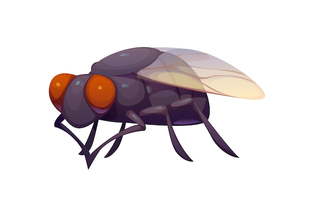 Personaggio di cartone animato di insetto mosca divertente con occhi grandi