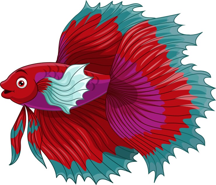 Vettore pesce combattente siamese rosso cartone animato