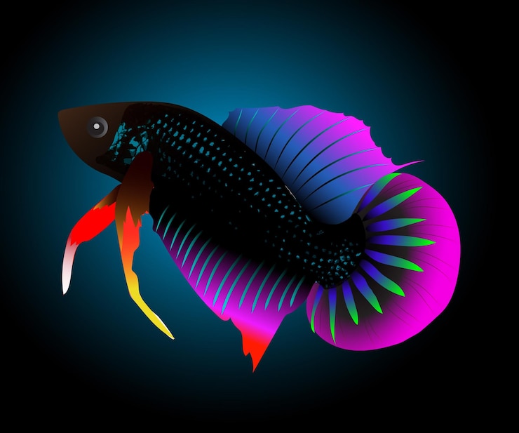 Vettore pesce da combattimento thailandese