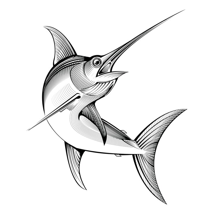 Vettore pesce spada tropicale vettoriale illustrazione incisione linea pesce