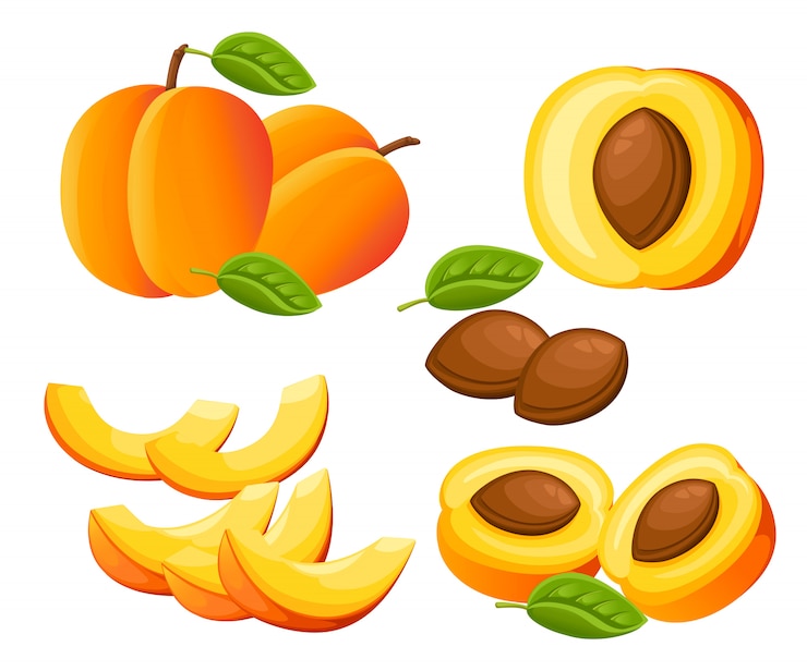 Vettore pesche e fettine di pesche. illustrazione di pesche. illustrazione per poster decorativo, prodotto naturale emblema, mercato degli agricoltori. pagina del sito web e app mobile