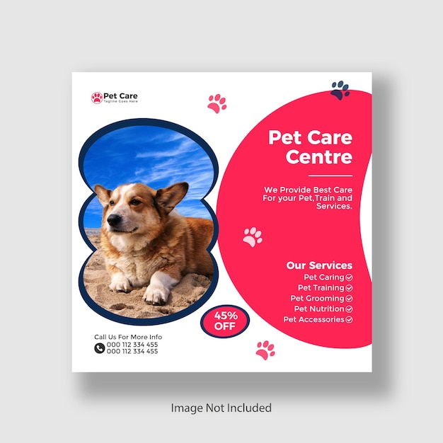 Pet Care Center social media e post di Instagram e modello di progettazione di banner web