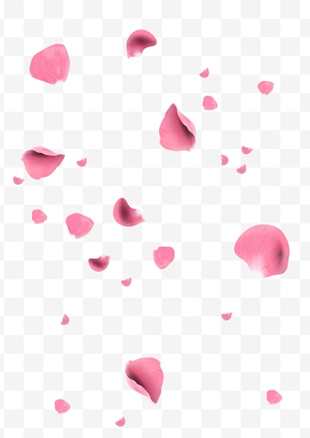 Petali di rosa realistici che volano