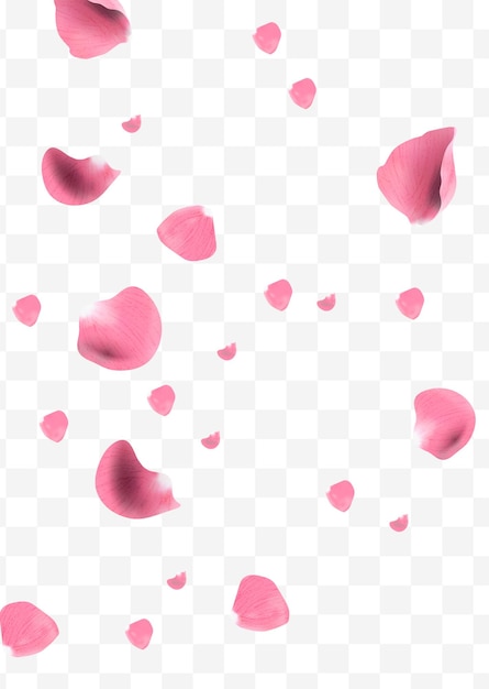 Petali di rosa realistici che volano