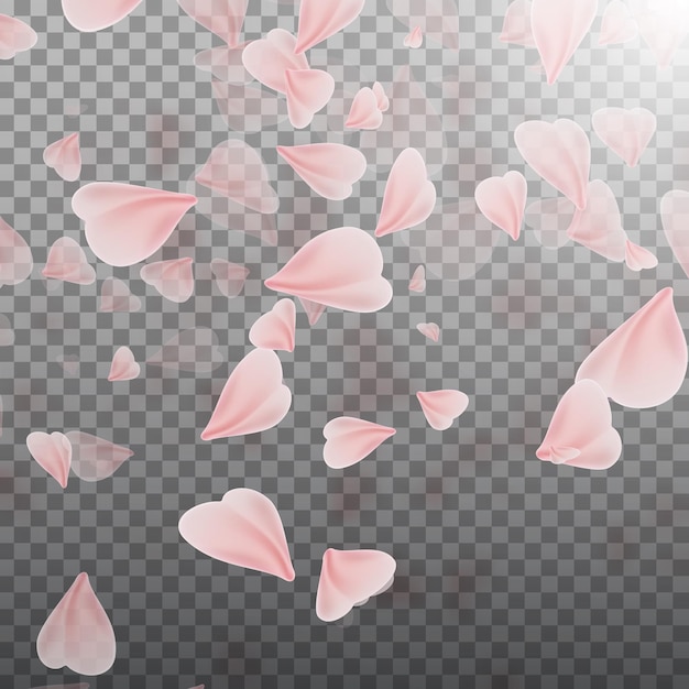 Petali di sakura rosa che cadono