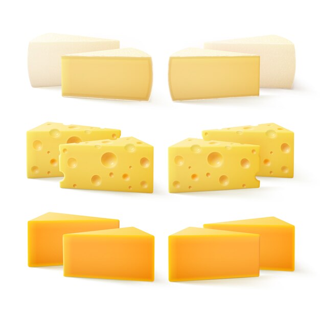 Pezzi triangolari di vari tipi di formaggio Cheddar svizzero Bri Camembert